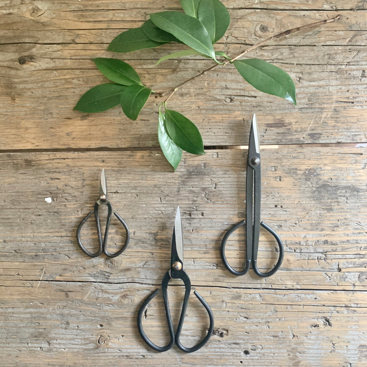 garden scissors set – Lauren Liess