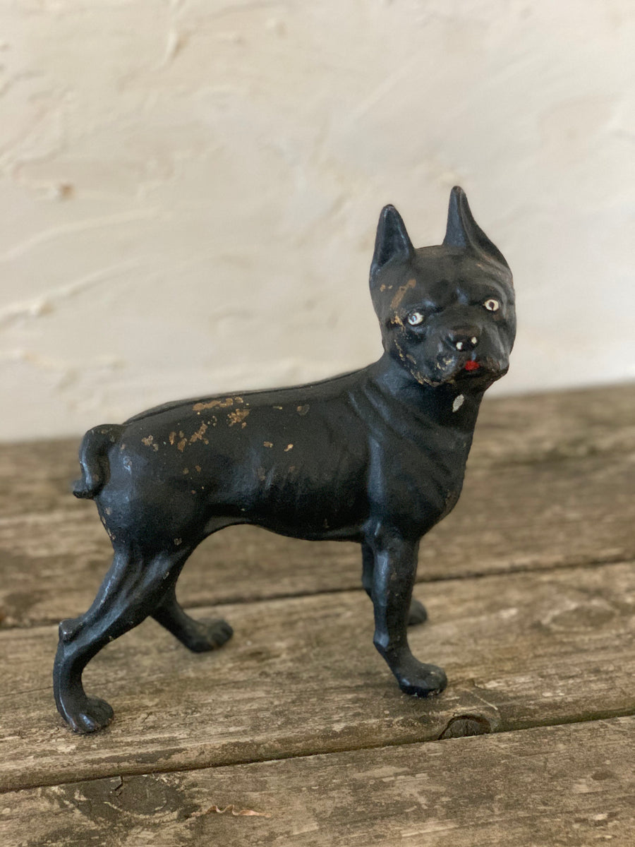 antique cast iron bulldog – Lauren Liess