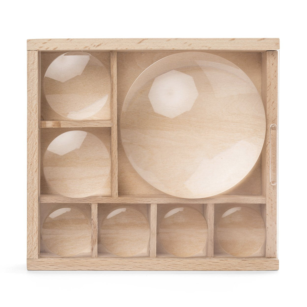 museum box – Lauren Liess