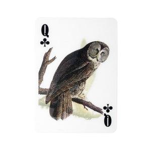 audubon bird playing cards