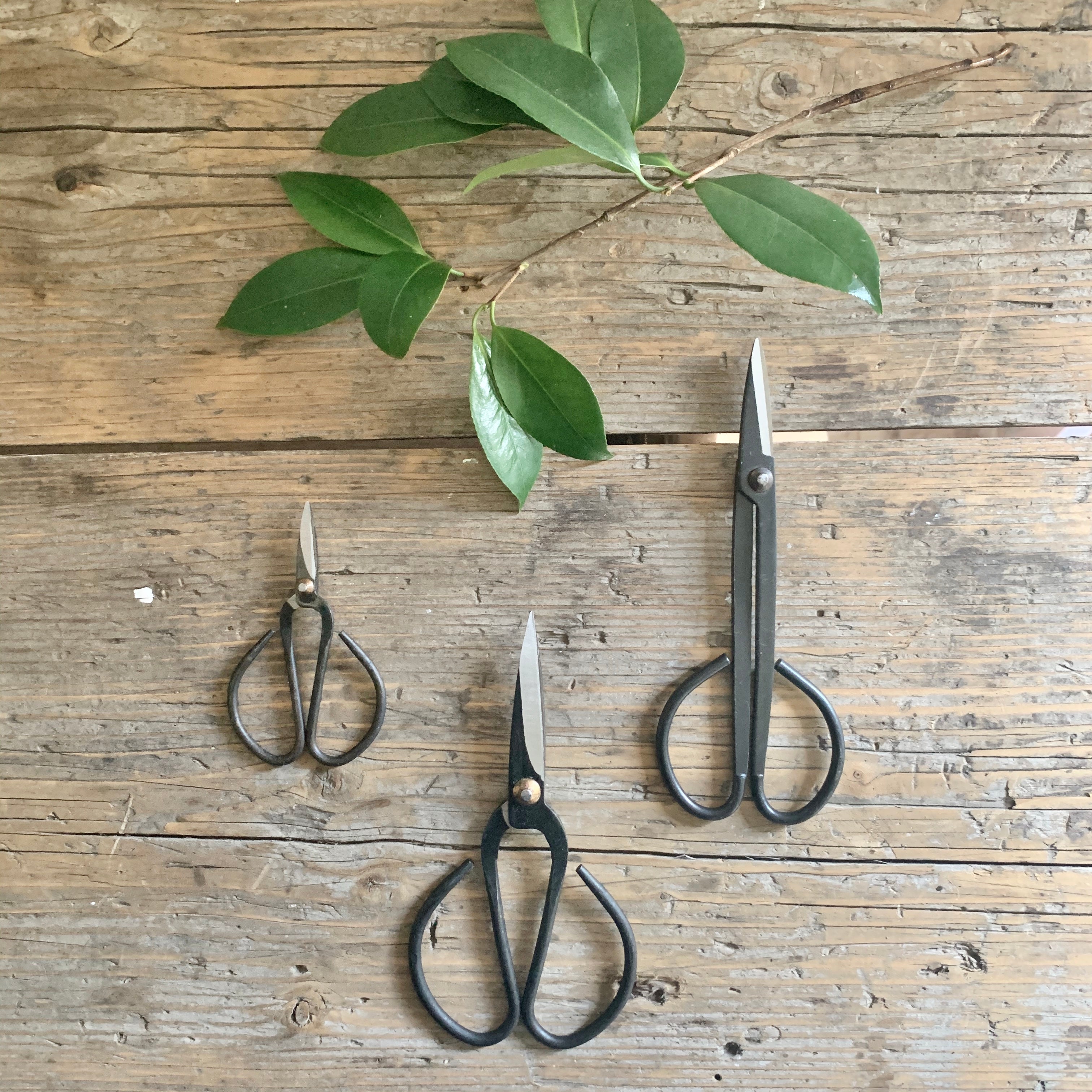 plant scissors garden garden scissors set – Lauren Liess