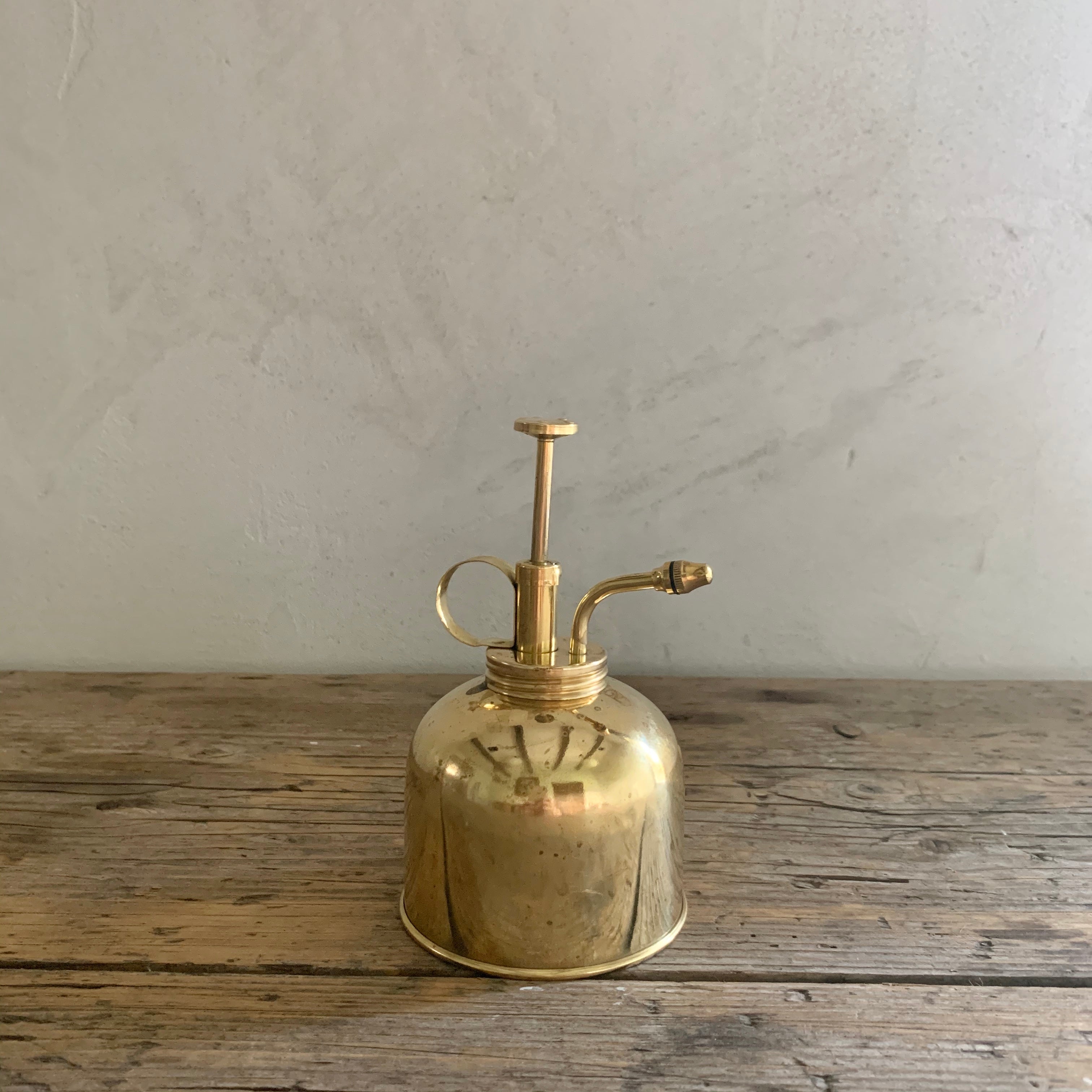 brass succulent mister Modern Sprout Plant Mister
