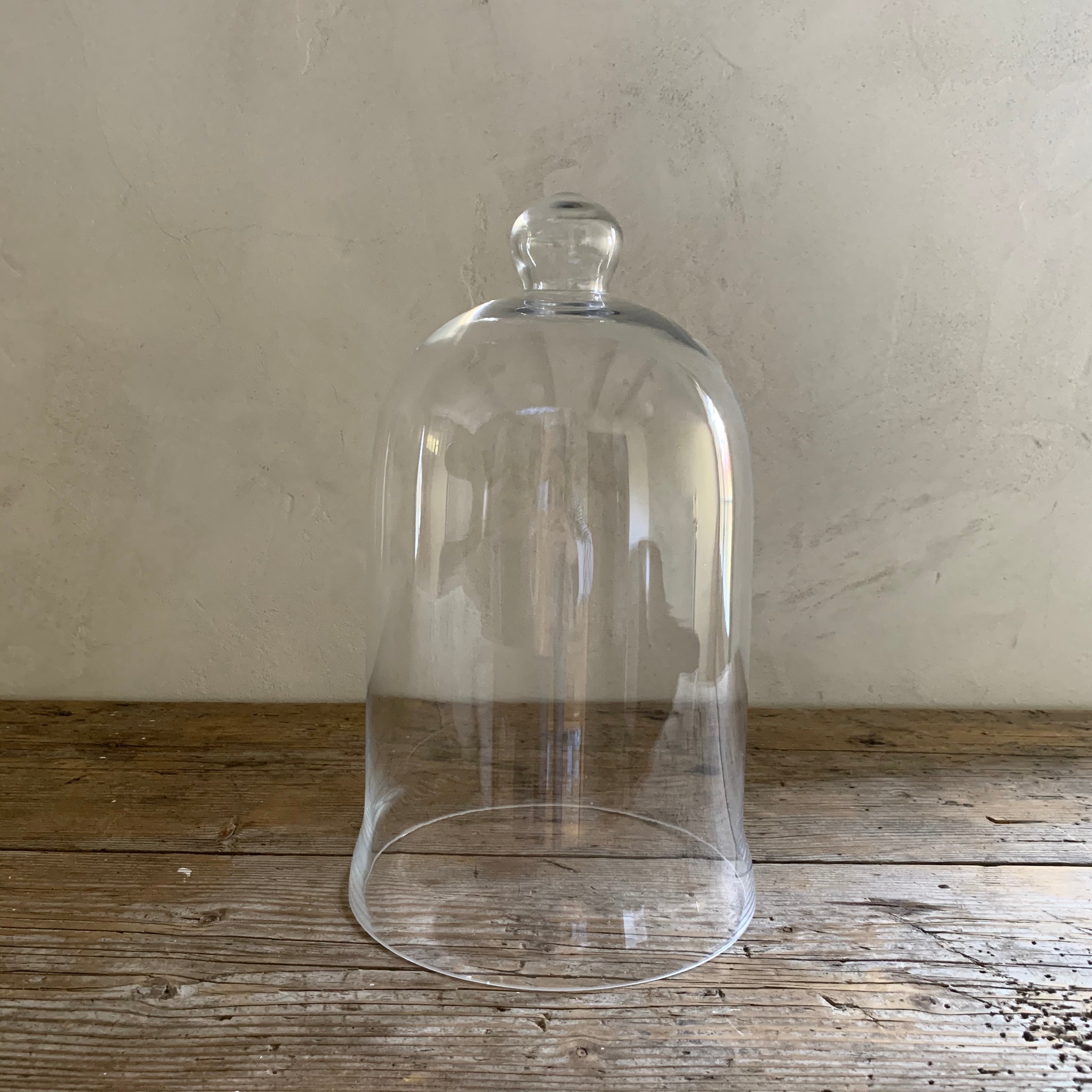 Bell Jar Model Bell Jar Model