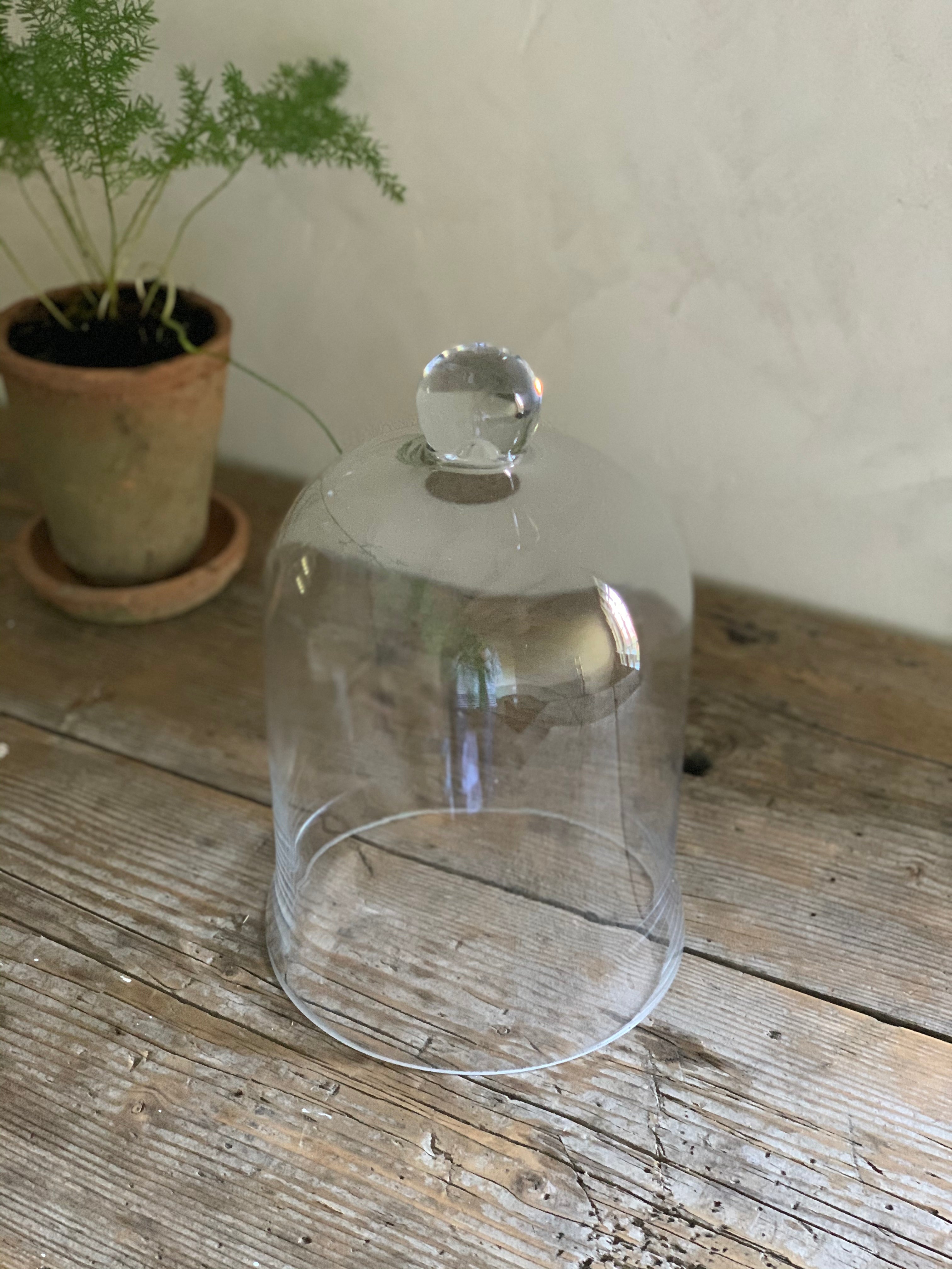 medium bell jar