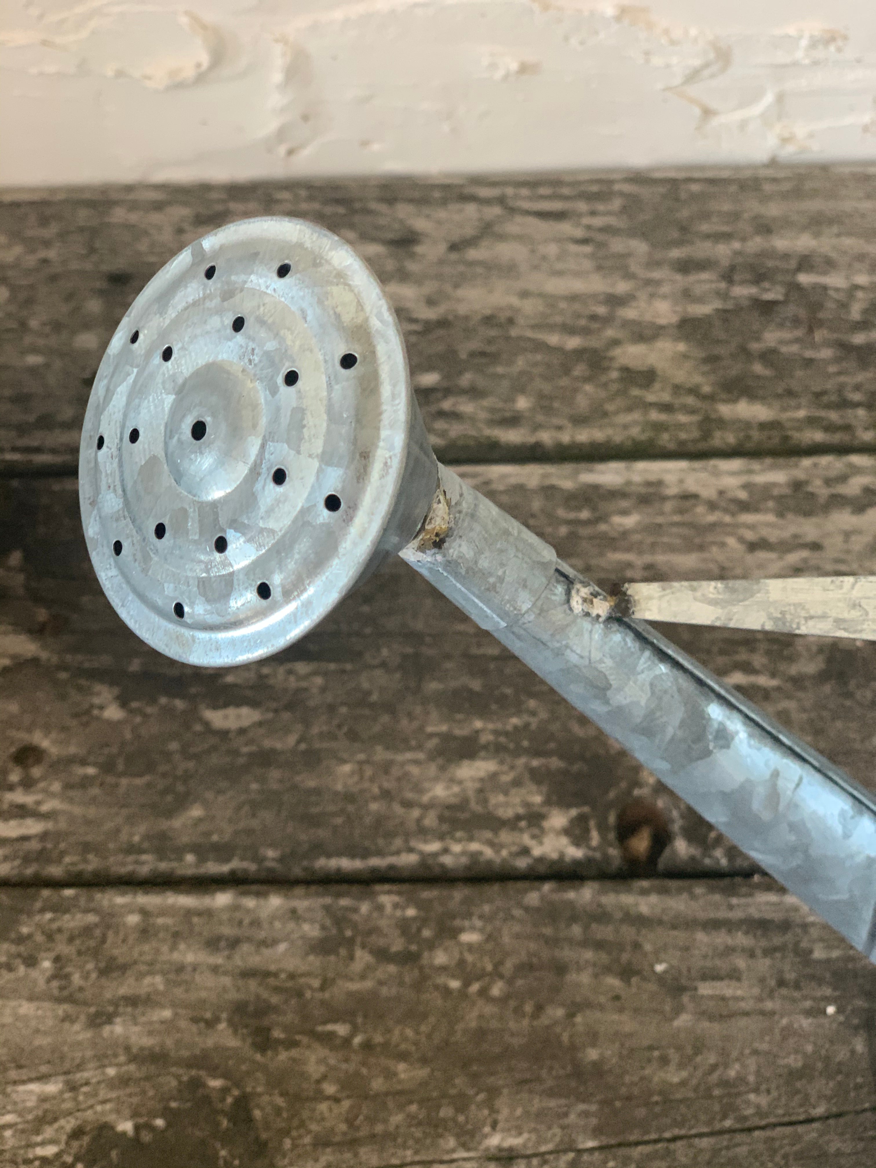 petite galvanized watering can