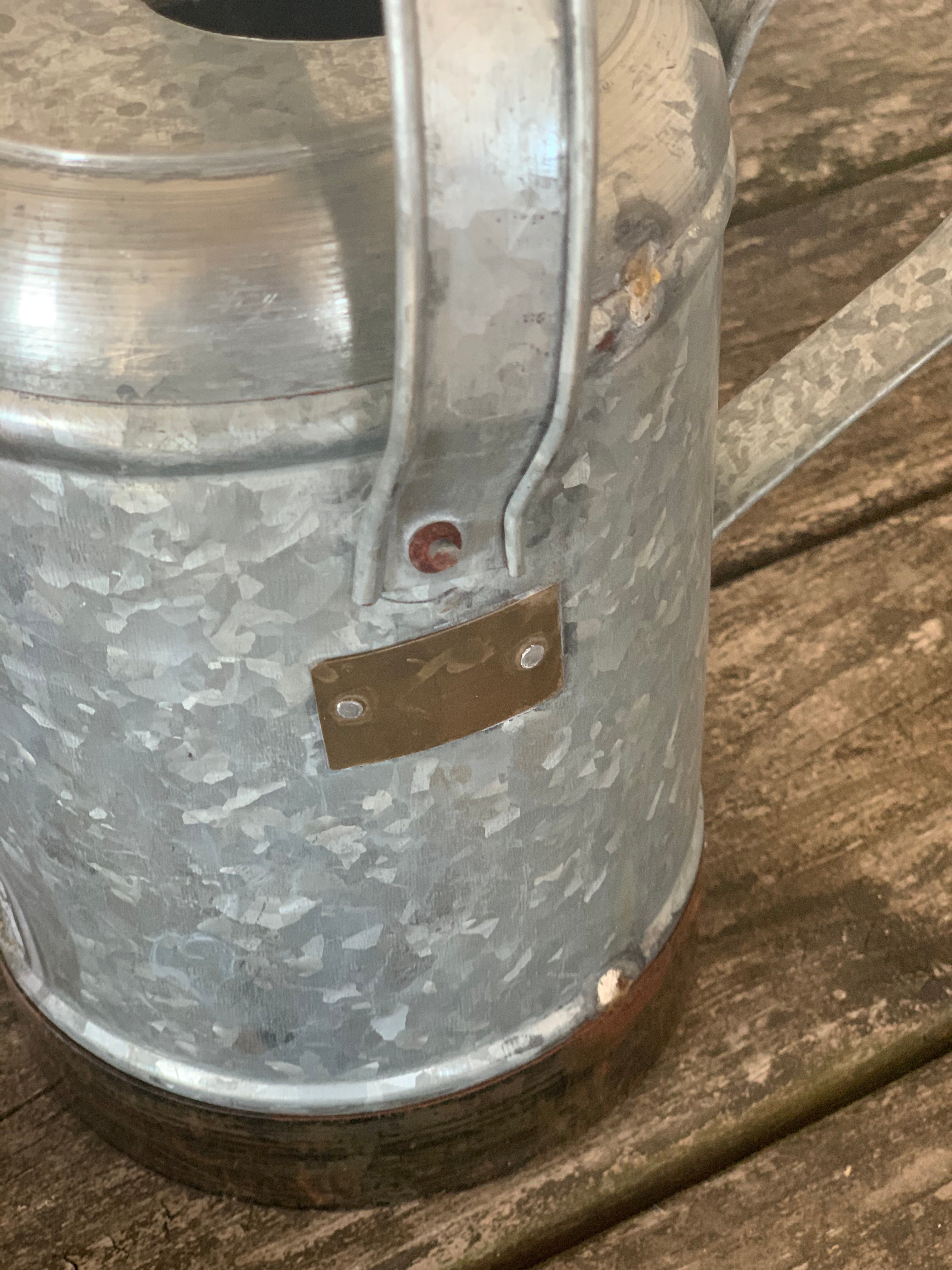 petite galvanized watering can