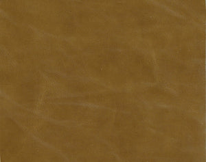 upholstery samples - leather