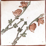 terra 6x6 terracotta tile- wild chicory in rose