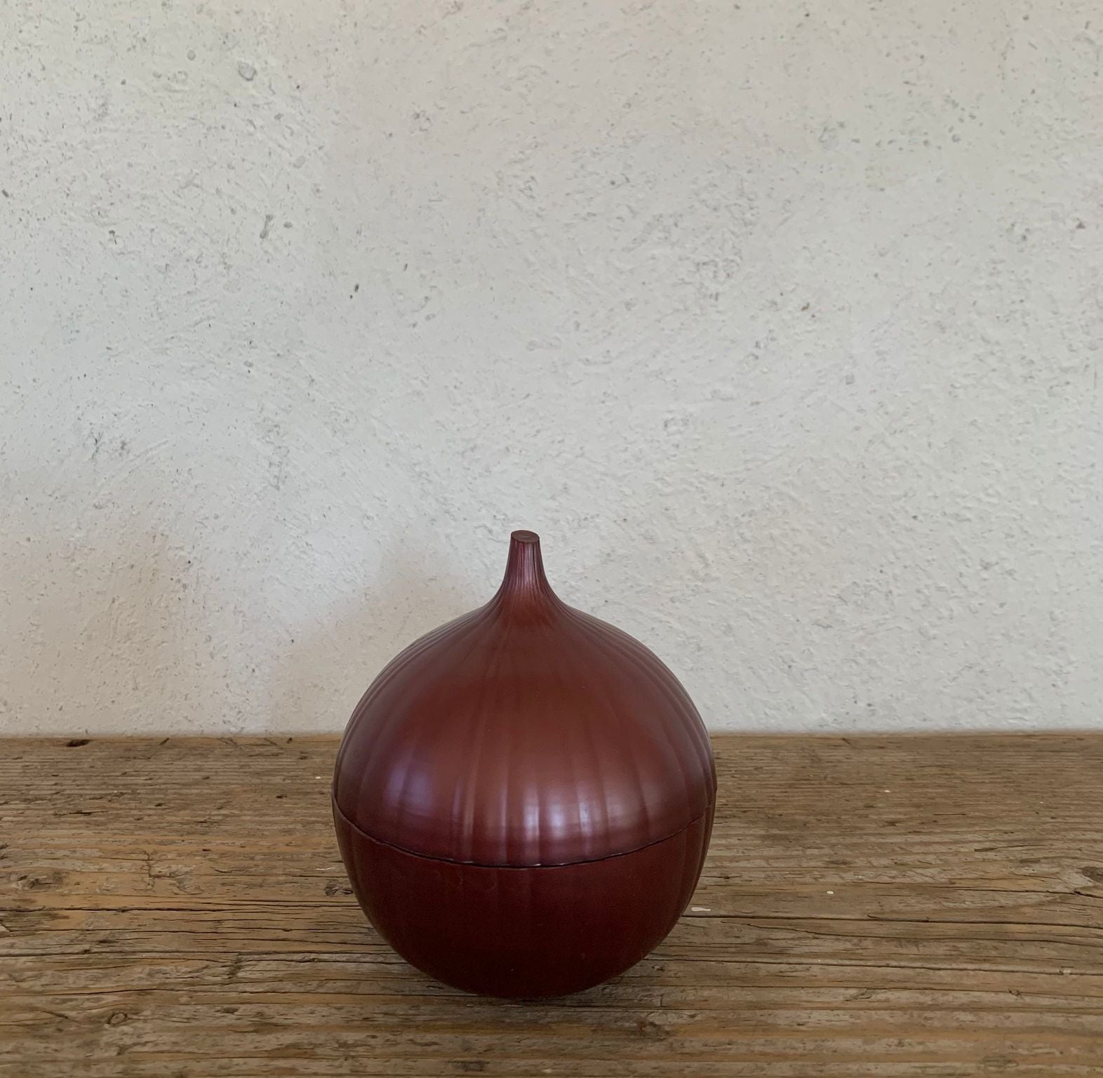 onion saver